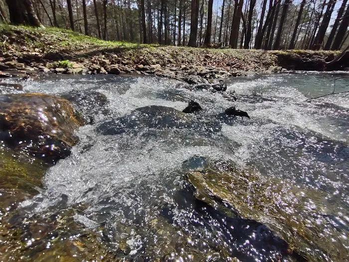 Fancy Hill Campground Picture 7