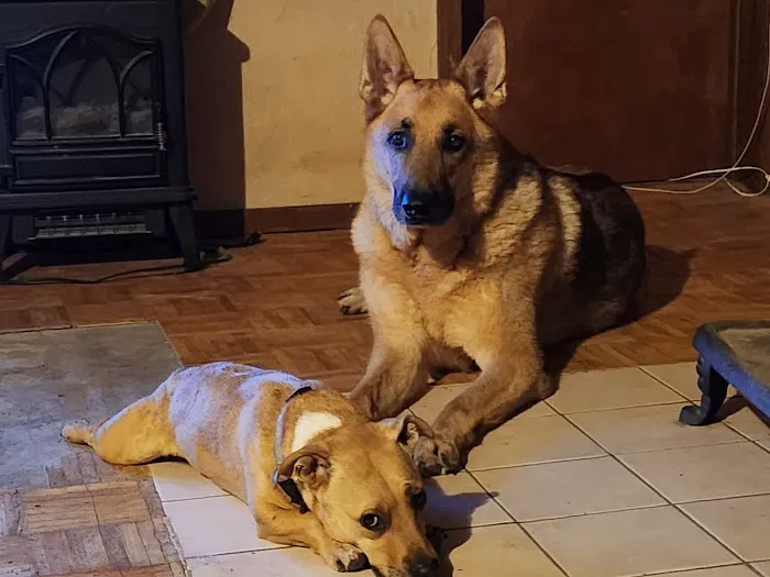 ScrappyJax Picture 6