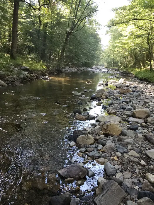 Bard Springs Picture 2
