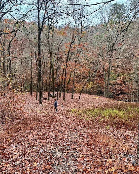 Bard Springs Picture 8