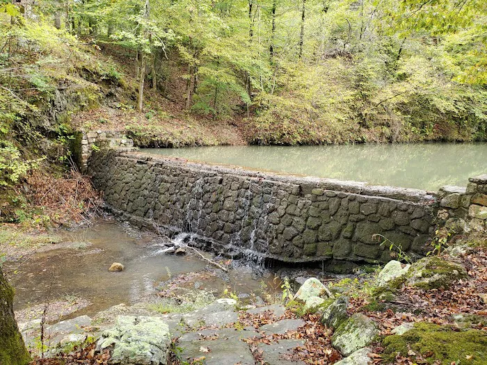 Bard Springs Picture 6