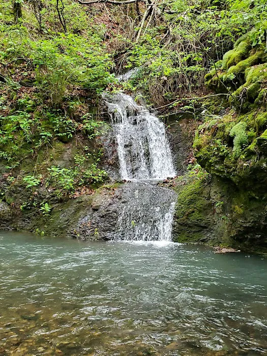 Bard Springs Picture 7