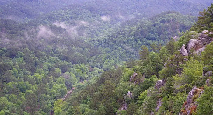 Bard Springs Picture 10