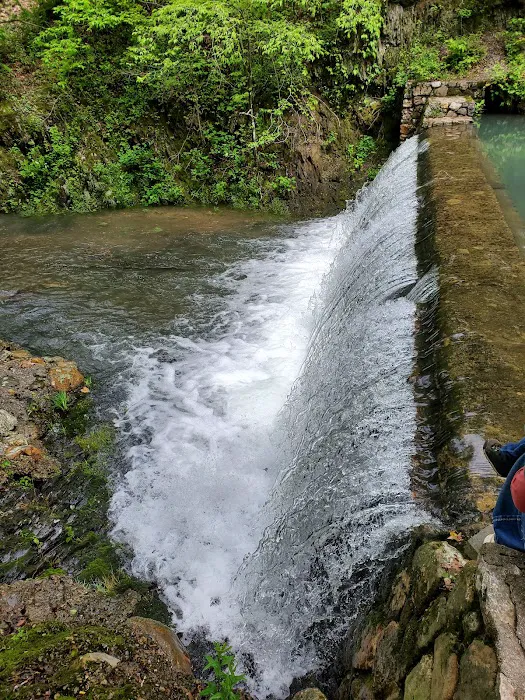 Bard Springs Picture 9
