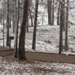 Alpine Ridge