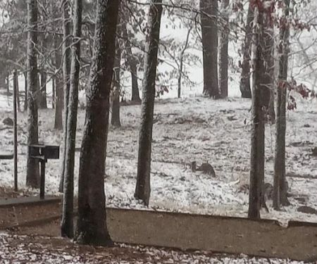 Alpine Ridge