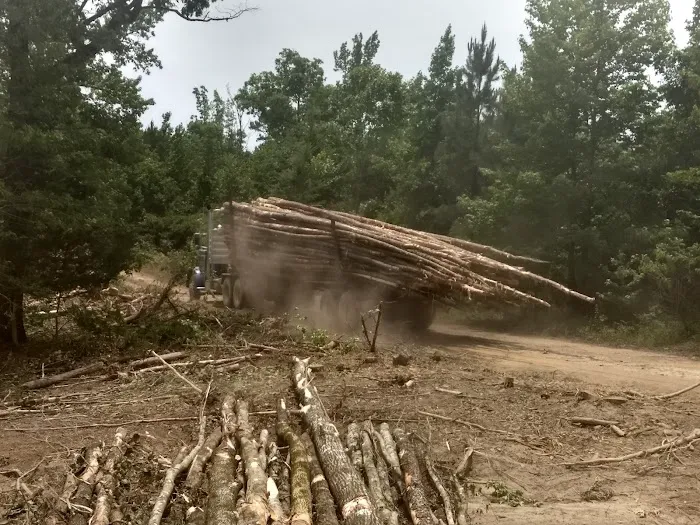 Brushy Creek Campground Picture 3