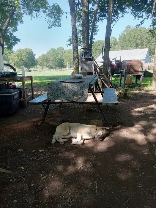 Shady Rest On Flint Creek Picture 3