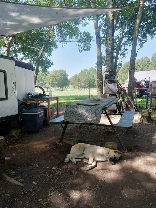 Shady Rest On Flint Creek Picture 2