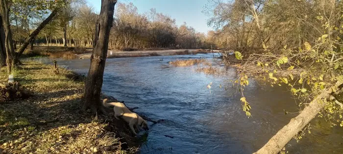 Shady Rest On Flint Creek Picture 4