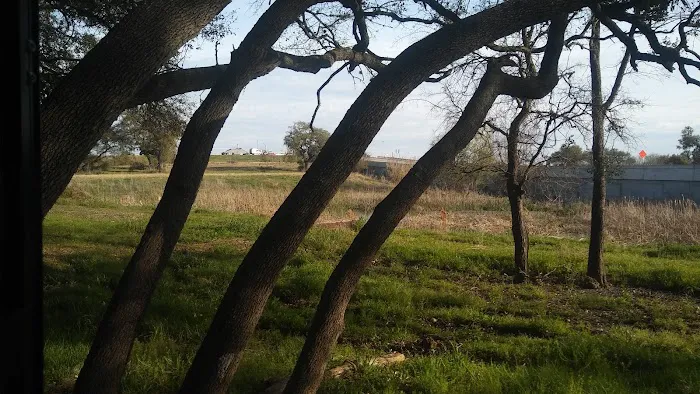 Plum Creek RV Resort Picture 3
