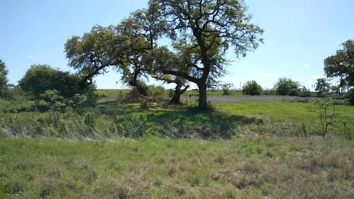 Plum Creek RV Resort Picture 8