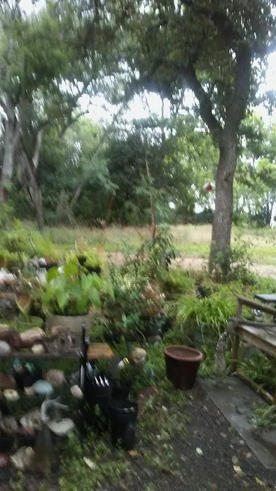 Plum Creek RV Resort Picture 9