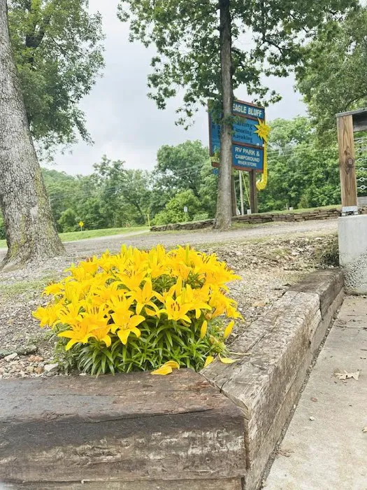 Eagle Bluff Resort Picture 6