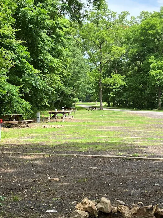 Echota Village Store & RV Park Picture 7