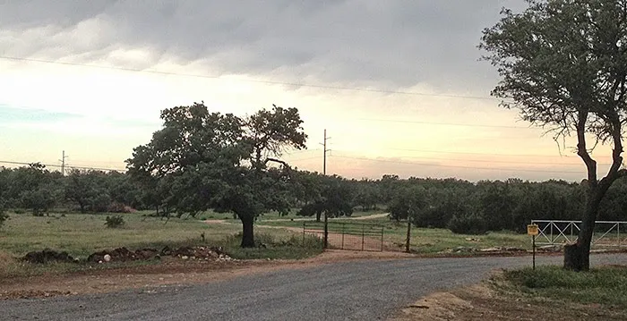 Dripping Springs RV Park Picture 6