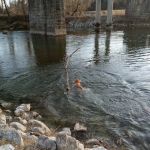 Eagles Nest Camp & Canoe