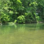 Elk River Campground (Trestle Park)