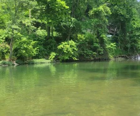 Elk River Campground (Trestle Park)