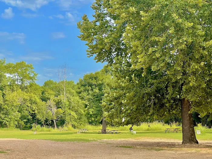 Elk River Campground (Trestle Park) Picture 5
