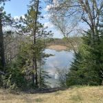 Island Point Campsite