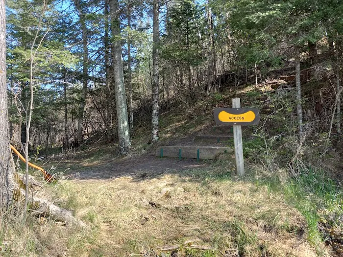 Island Point Campsite Picture 6