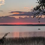 Pine Tree Park Municipal Campground