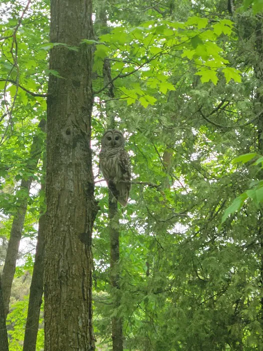 Pine Tree Park Municipal Campground Picture 7
