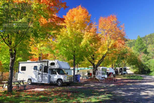 Austin Oaks RV Park Picture 4