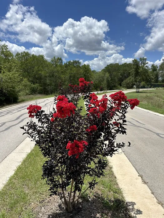 Hope Hill RV Park Picture 5