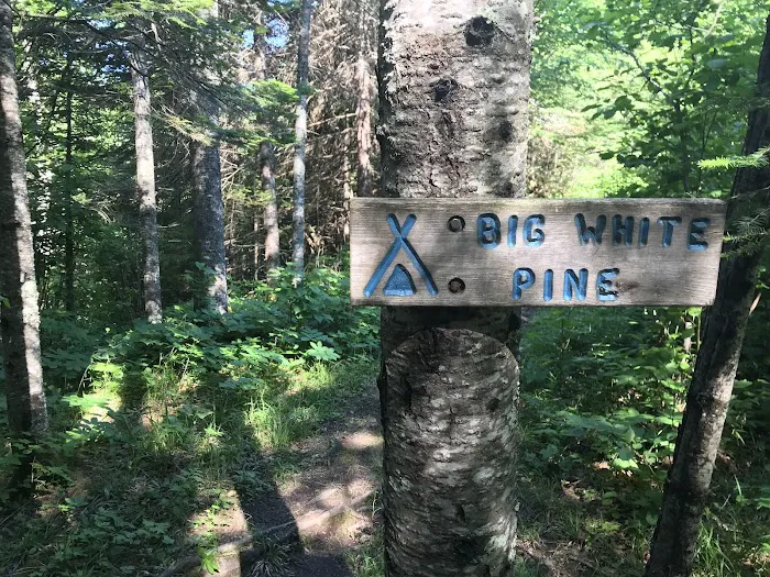 Big White Pine Camp Picture 1