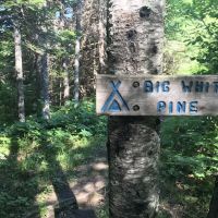 Big White Pine Camp ico