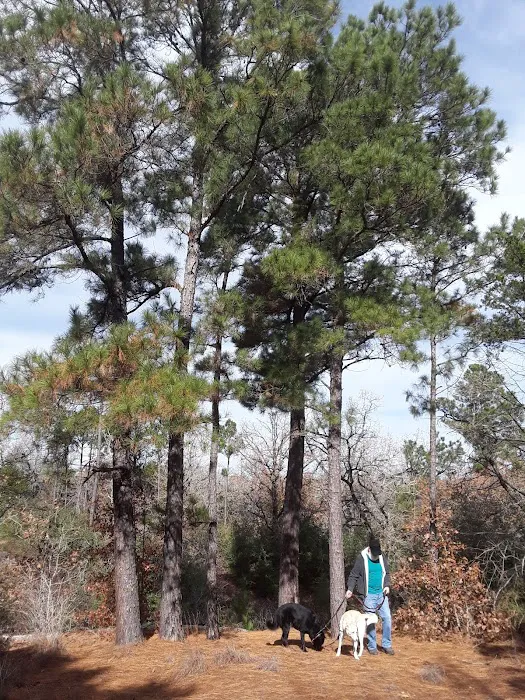 Cut Log Camp Picture 9