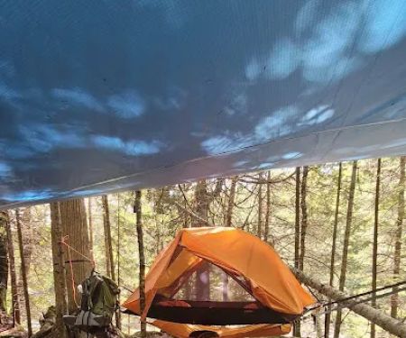 Trout Creek Campsite
