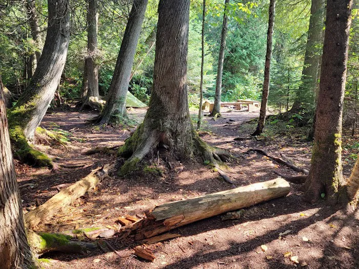 Trout Creek Campsite Picture 5