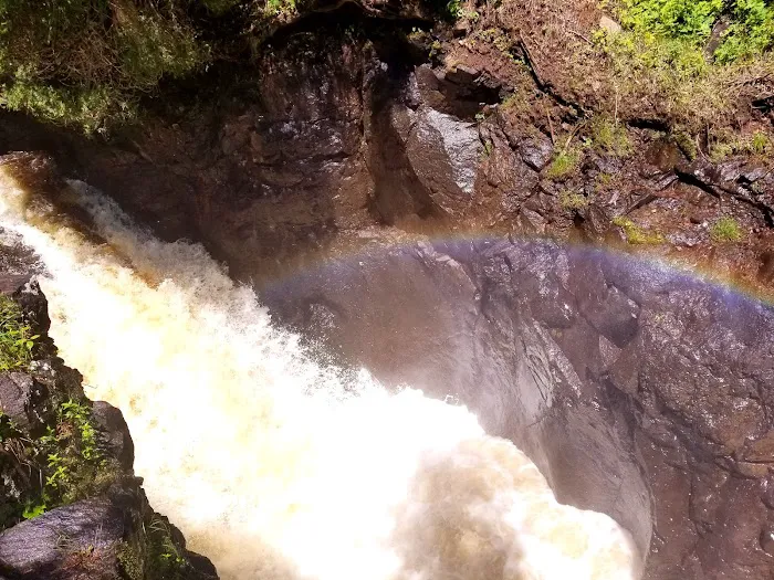 Cascade River State Park Group Campsites Picture 4