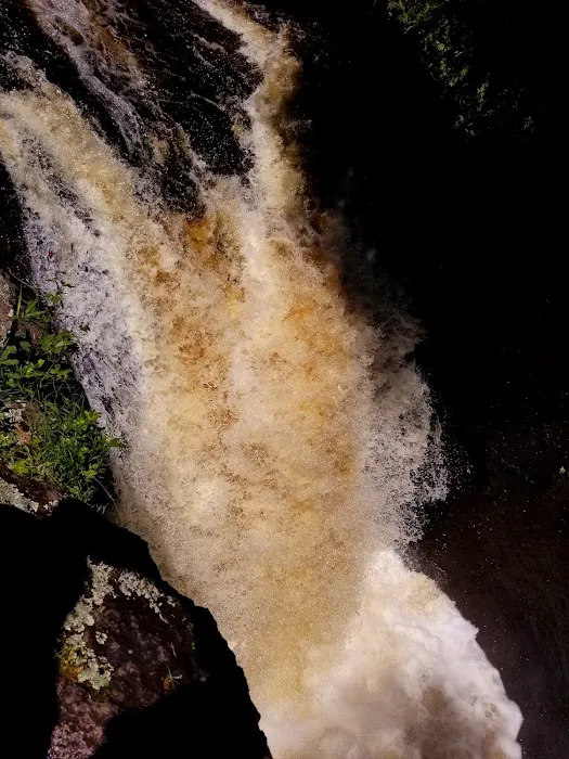 Cascade River State Park Group Campsites Picture 6