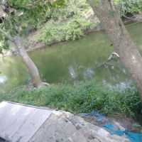 Brushy Creek RV Park ico
