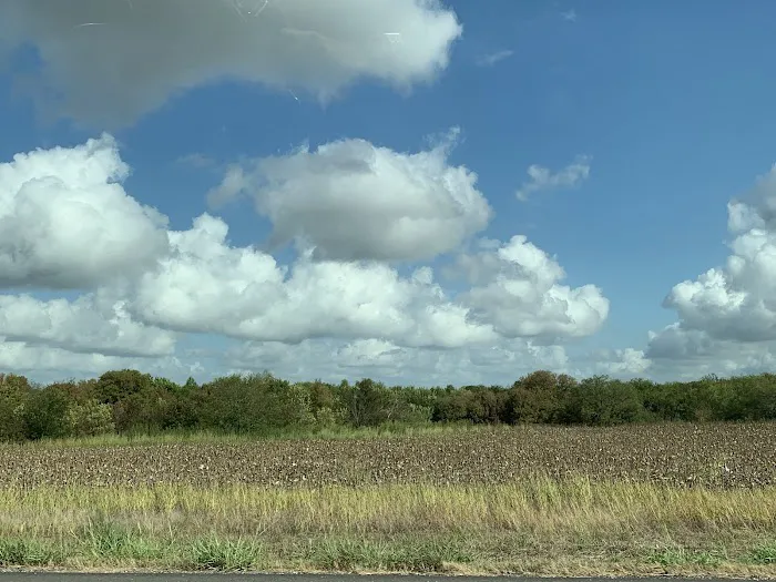 East Austin RV Park Picture 8