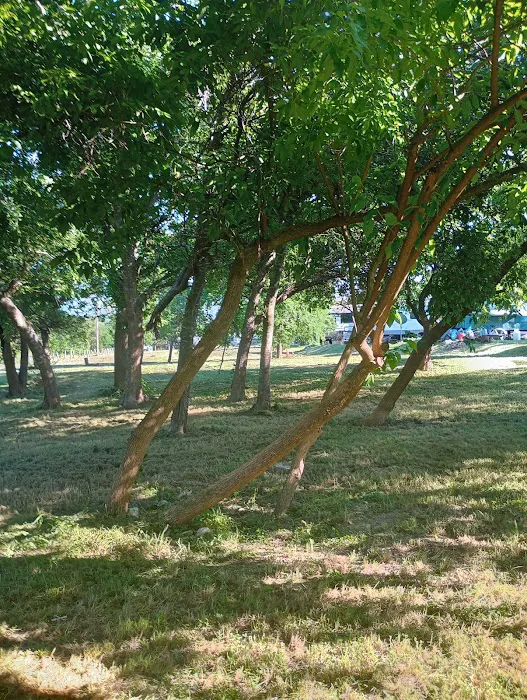 Stout RV Park Picture 6