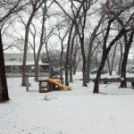 Shady River RV Resort