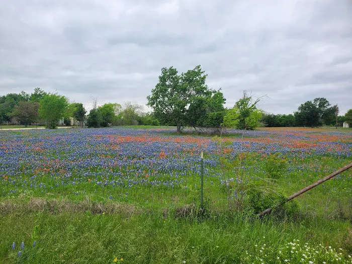 East View RV Ranch Picture 5