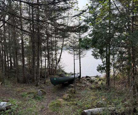 BWCA Campsite #957
