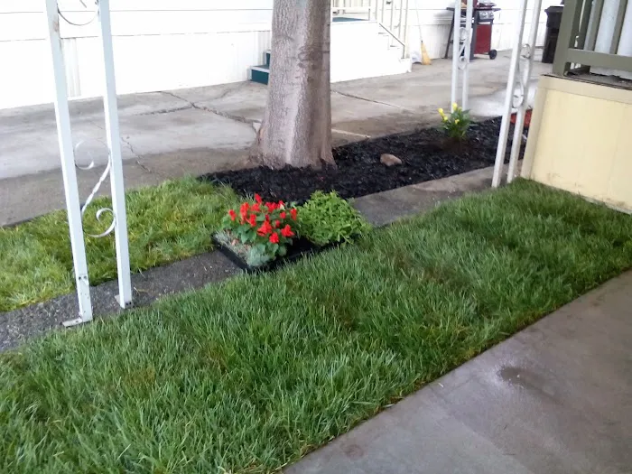 Lamplighter San Jose Picture 9