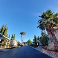 Oak Crest Estates ico