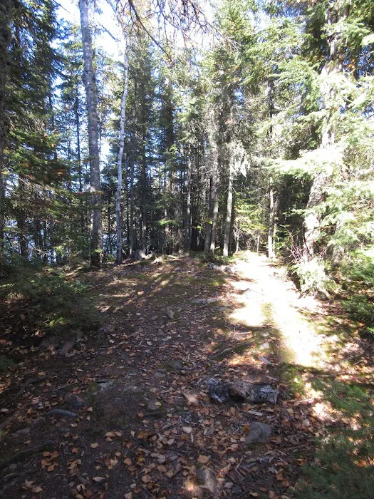 BWCA Campsite #956 Picture 7