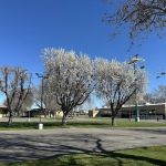 Alameda County Fairgrounds RV Park