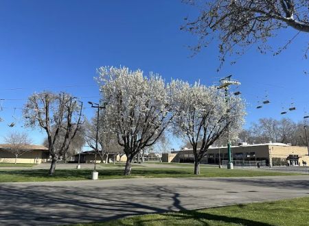 Alameda County Fairgrounds RV Park