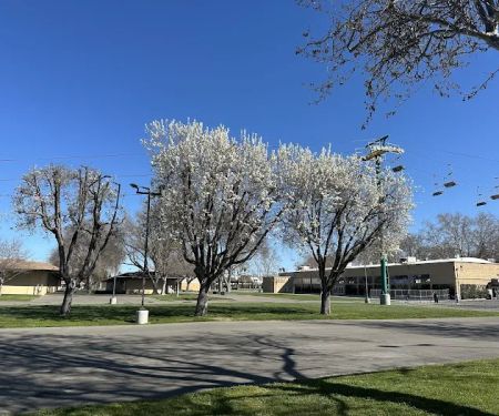 Alameda County Fairgrounds RV Park