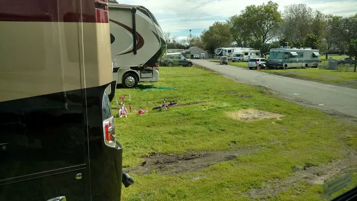 Alameda County Fairgrounds RV Park Picture 8